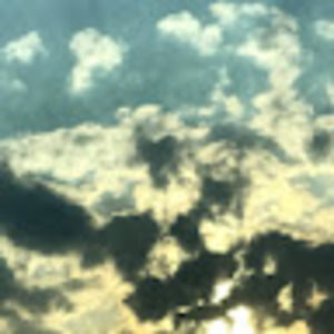 Meet your Posher, Isabel